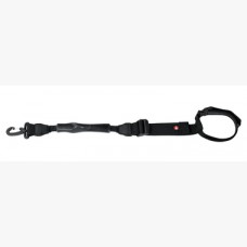 MSTRAP-2